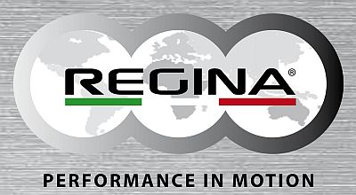 Catalogo generale REGINA CHAIN